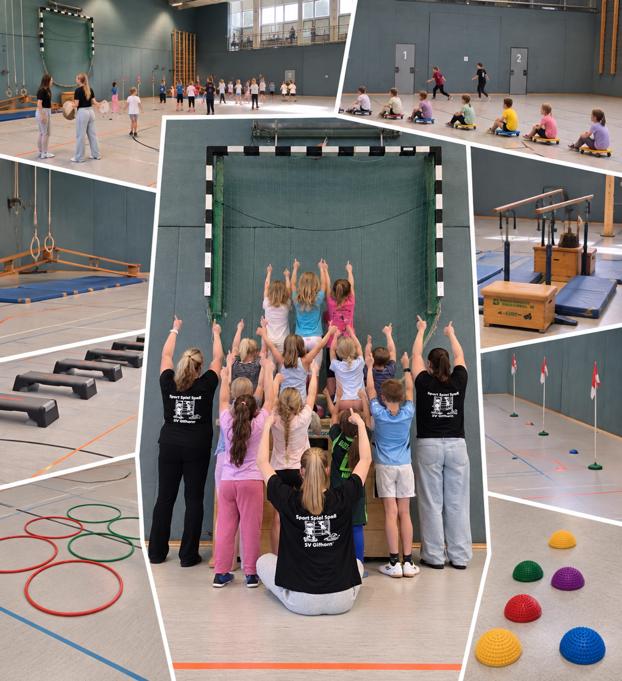 SV Gifhorn Titelphoto 0