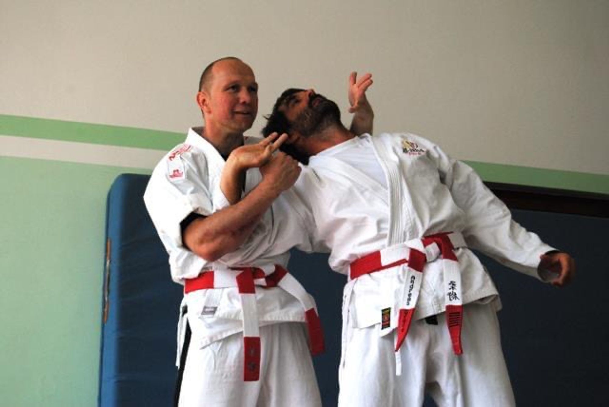 SV Gifhorn Titelphoto 0